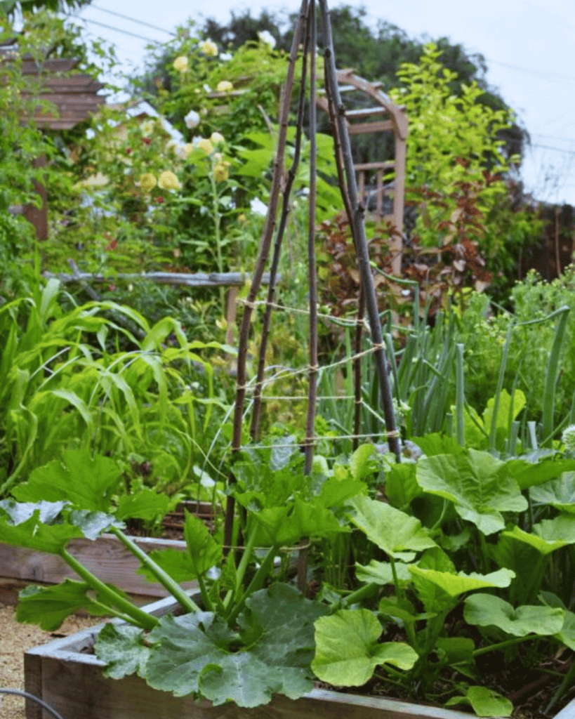 10 slimme manieren om uw tuinafval tijdens de voorjaarsschoonmaak te upcyclen!  5