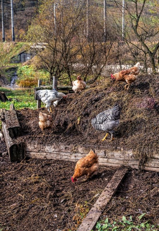 10 slimme manieren om uw tuinafval tijdens de voorjaarsschoonmaak te upcyclen!  3