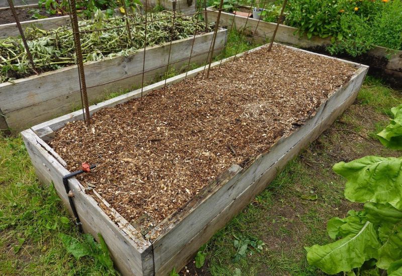 Not Mulching Your Garden​