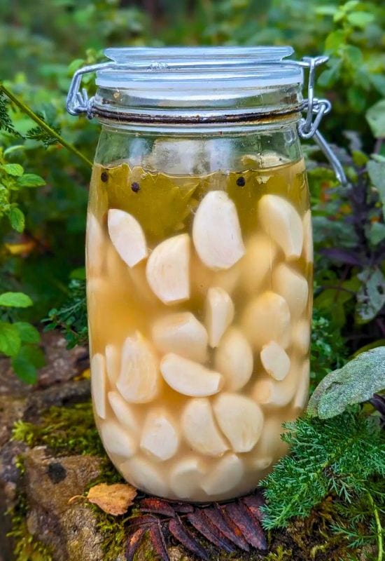 Gebruik eenvoudige recepten en natuurlijke producten om de slak te doden en af ​​te schrikken