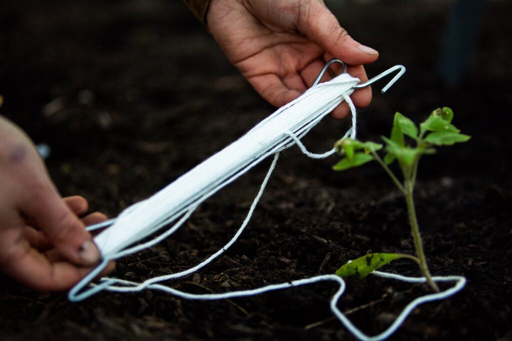 Tomatenhaak: een waardevolle hulp voor een grote tomatenoogst!