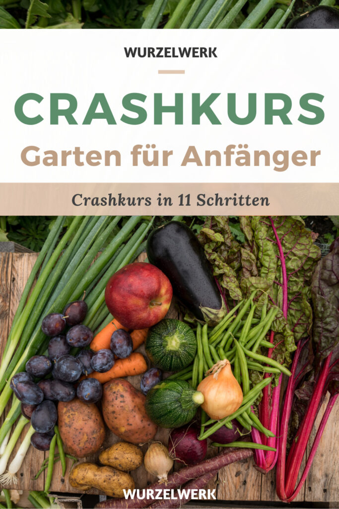 Gemüsegarten für Anfänger